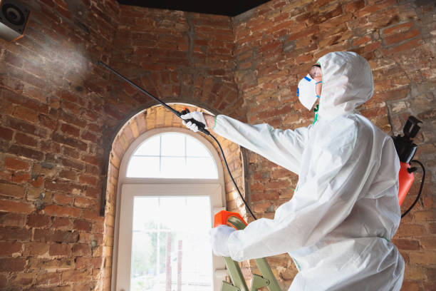 Mold Removal for HVAC Installations in Lawrenceville, GA