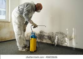 Best Comprehensive Air Testing for Mold Contaminants  in Lawrenceville, GA